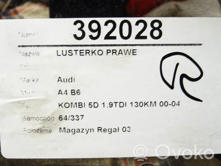 Audi A4 S4 B6 8E 8H Elektryczne lusterko boczne drzwi przednich 