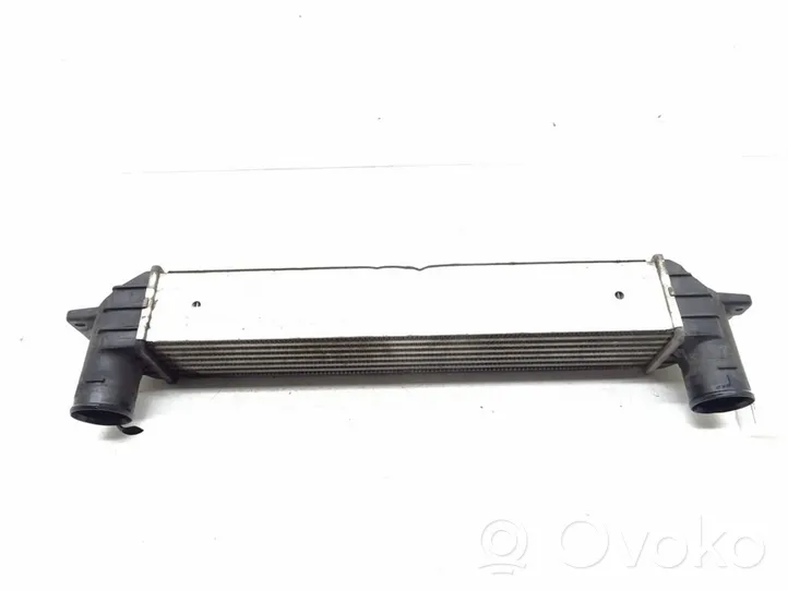 Chevrolet Captiva Chłodnica powietrza doładowującego / Intercooler 96629070