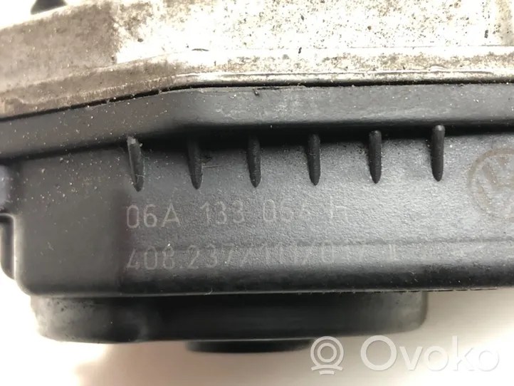 Volkswagen Bora Variklio gesinimo sklendė 06A133064H