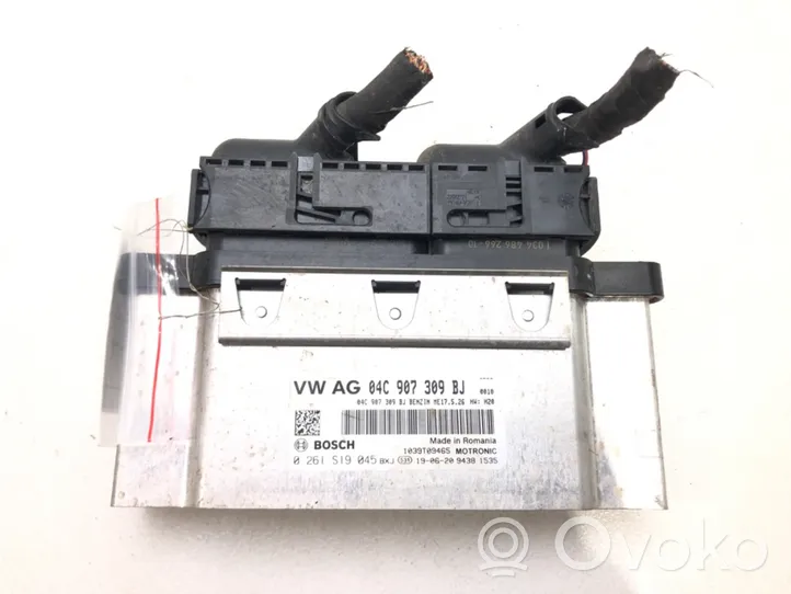 Skoda Fabia Mk3 (NJ) Unité de commande, module ECU de moteur 04C907309BJ