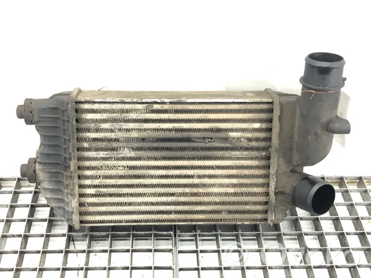 Citroen Jumper Intercooler radiator 1307012080