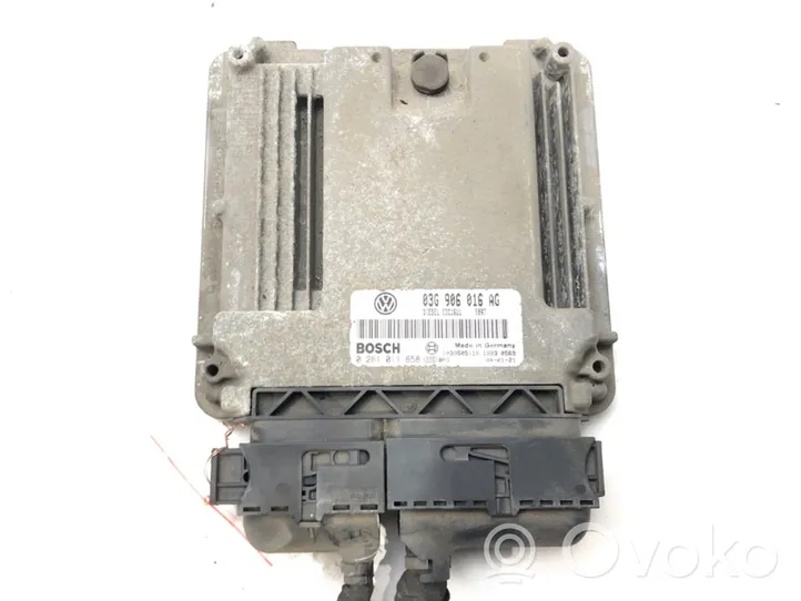 Skoda Octavia Mk2 (1Z) Centralina/modulo motore ECU 03G906016AG