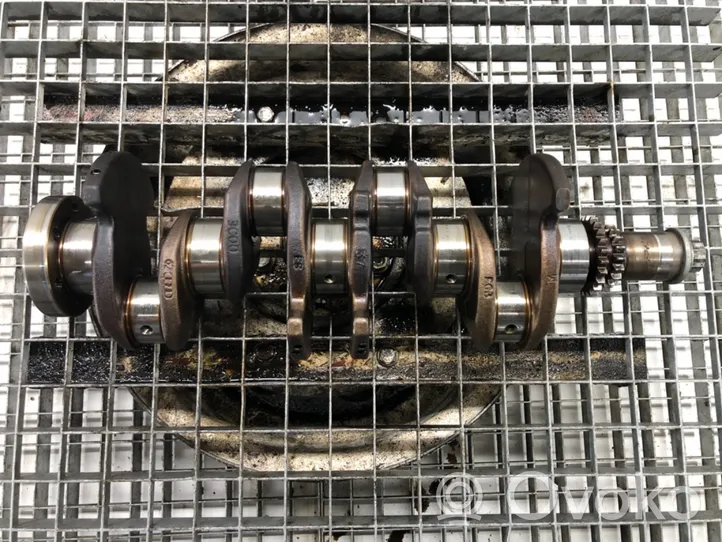 Volkswagen Touran I Crankshaft BLG