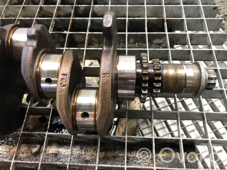 Volkswagen Touran I Crankshaft BLG