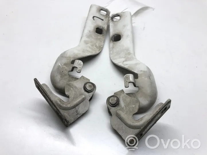 Citroen Jumper Engine bonnet/hood hinges 