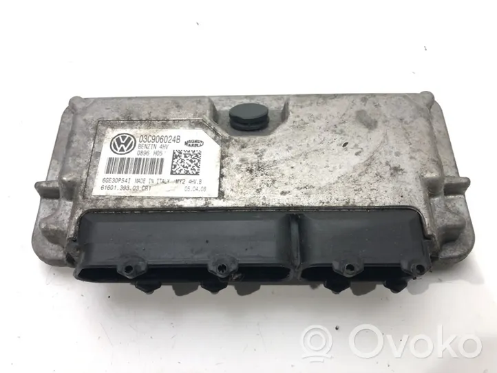 Skoda Fabia Mk1 (6Y) Komputer / Sterownik ECU silnika 03C906024BH