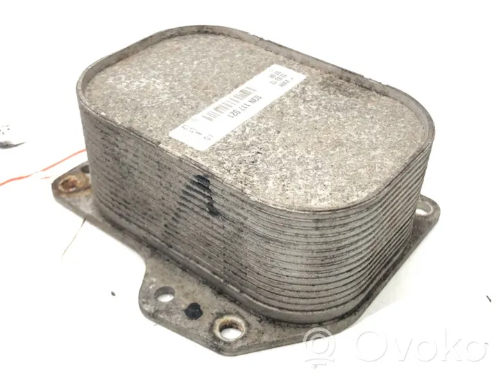 Volkswagen Golf VII Engine oil radiator 03N117021