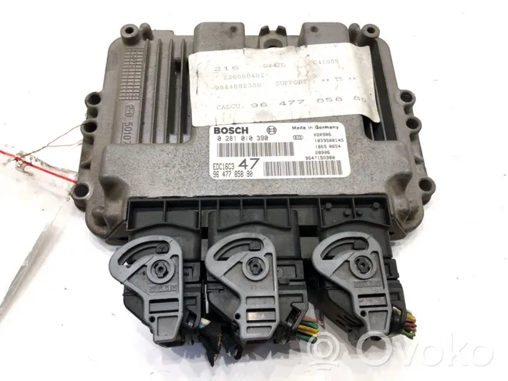 Peugeot 307 Unité de commande, module ECU de moteur 0281010390