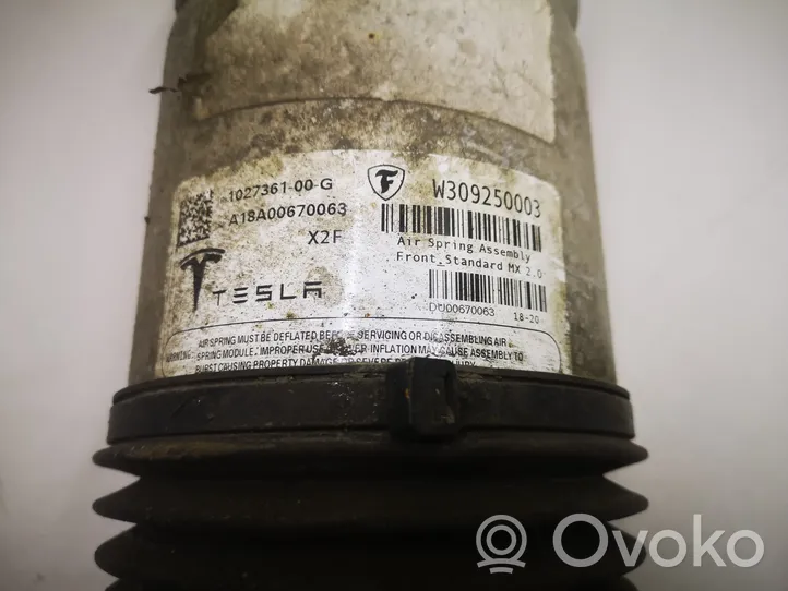 Tesla Model X Priekinė pneumatinė (oro) pagalvė su amortizatoriumi 102736100G