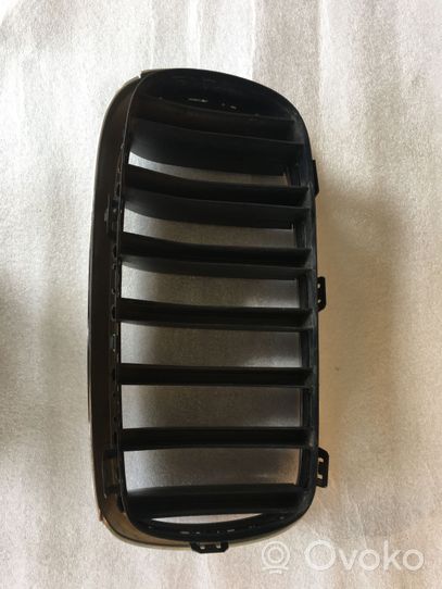 BMW X6 F16 Grille calandre supérieure de pare-chocs avant 7316076