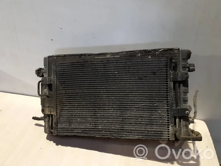 Volkswagen Golf IV Radiator set 