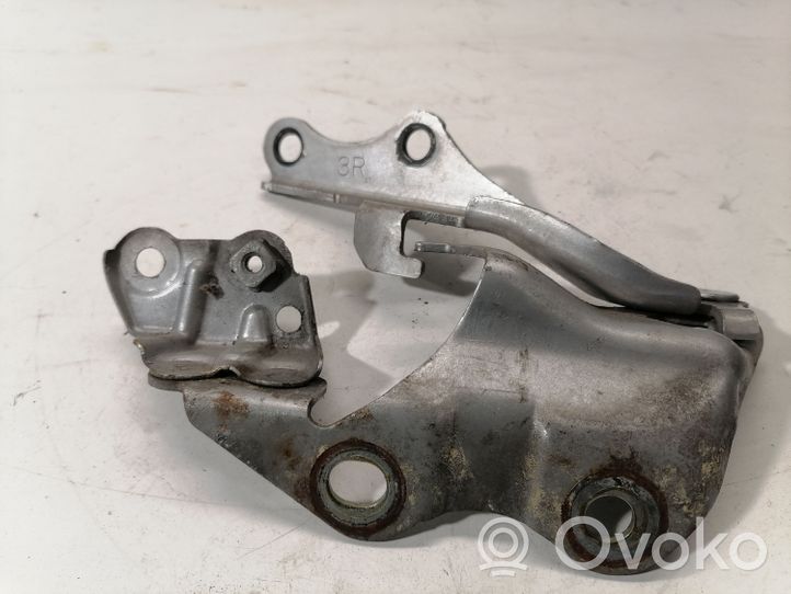 Lexus GS 300 350 430 450H Engine bonnet/hood hinges 