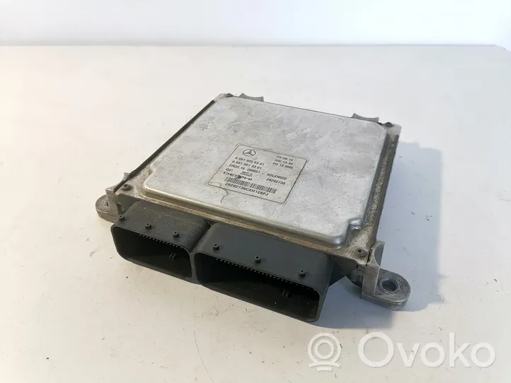 Mercedes-Benz E W212 Sterownik / Moduł ECU A6519005301