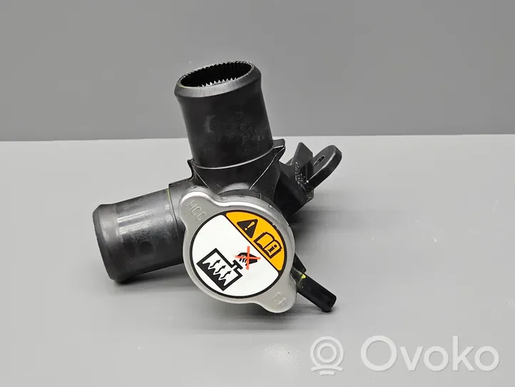 Hyundai i30 Vase d'expansion / bouchon de réservoir de liquide de refroidissement 254111P100