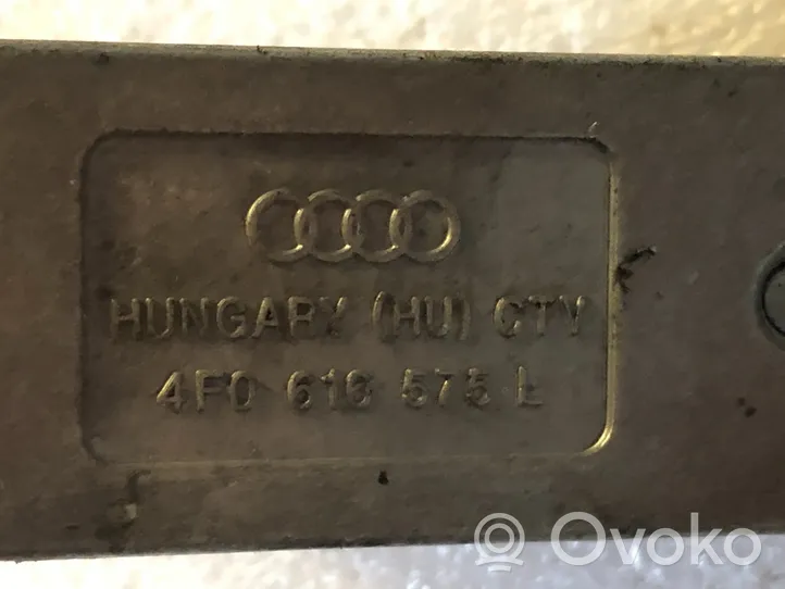 Audi A6 S6 C6 4F Elektriskais gāzes pedālis / sensors 4F0907651