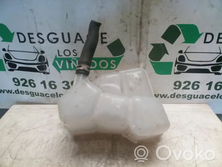 Ford Fiesta Vaso di espansione carburante 2S6H8K218