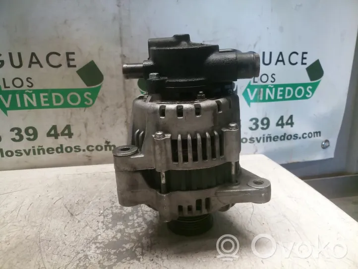 Hyundai Santa Fe Alternator 021319110