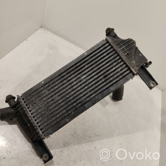 Nissan Pathfinder R51 Starpdzesētāja radiators 14461EB360