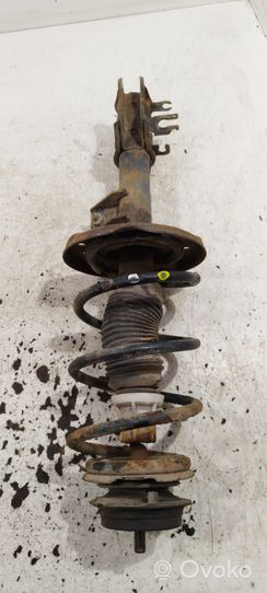 Ford Ka Front shock absorber with coil spring 50710803