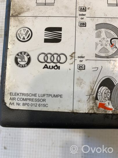 Volkswagen PASSAT B6 Tire air pump compressor 8P0012615C