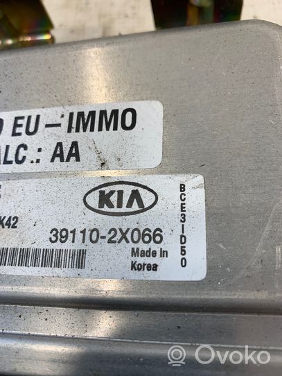 KIA Rio Calculateur moteur ECU 391102X066