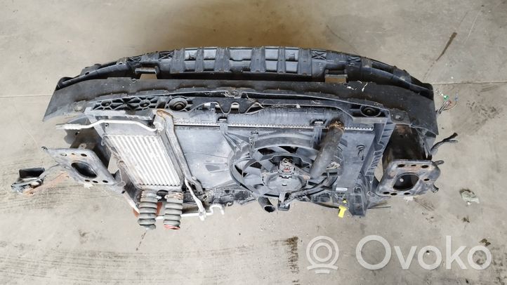 Ford Fiesta Radiator support slam panel 8v518c607cg