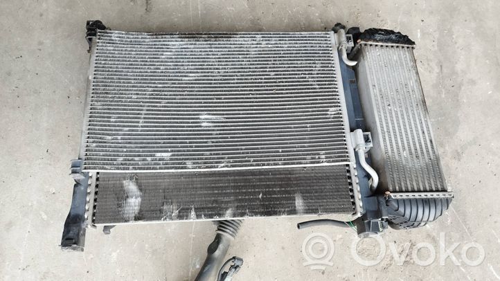 Renault Kangoo II Support de radiateur sur cadre face avant 8200427466