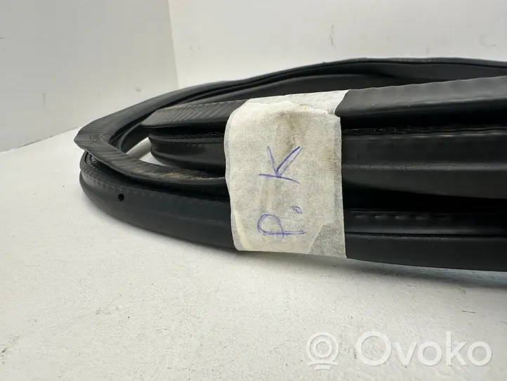 Volkswagen PASSAT B7 Front door rubber seal 