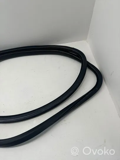 Volkswagen PASSAT B7 Front door rubber seal 