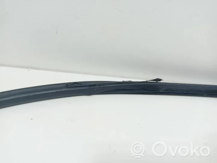 Honda Legend Front door rubber seal 