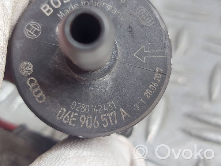 Skoda Octavia Mk2 (1Z) Valvola di sfiato 06E906517A