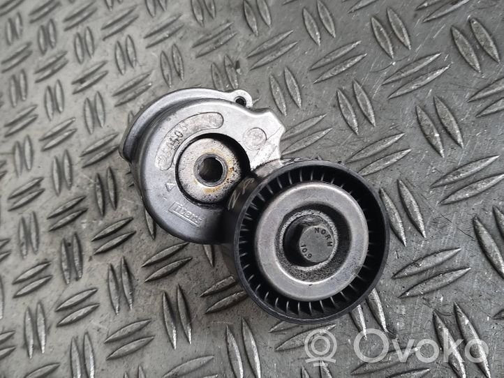 Opel Zafira B Napinacz paska wielorowkowego / Alternatora 05061000