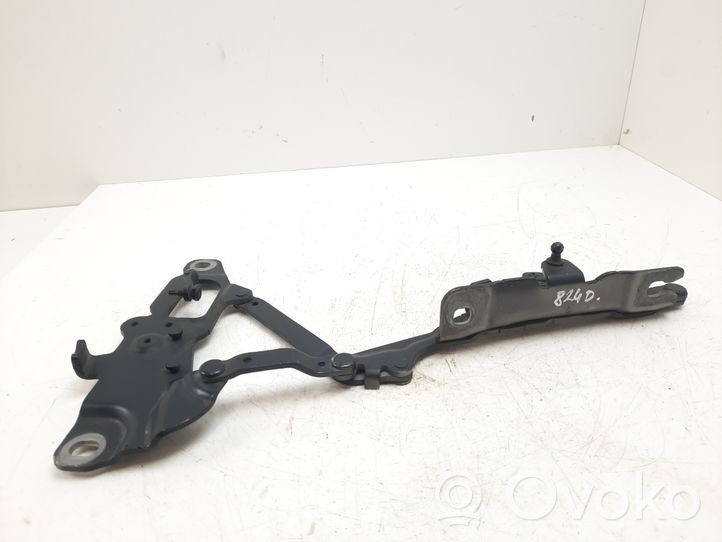 BMW 6 F12 F13 Cerniere del vano motore/cofano 7249888