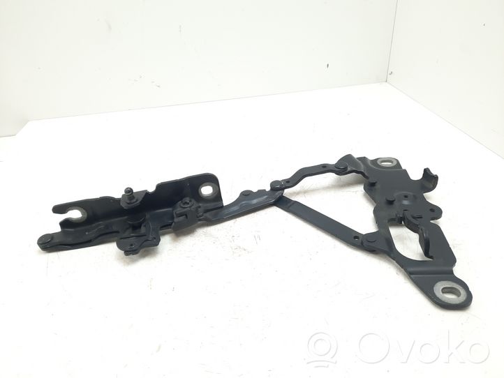 BMW 6 F12 F13 Cerniere del vano motore/cofano 7249888