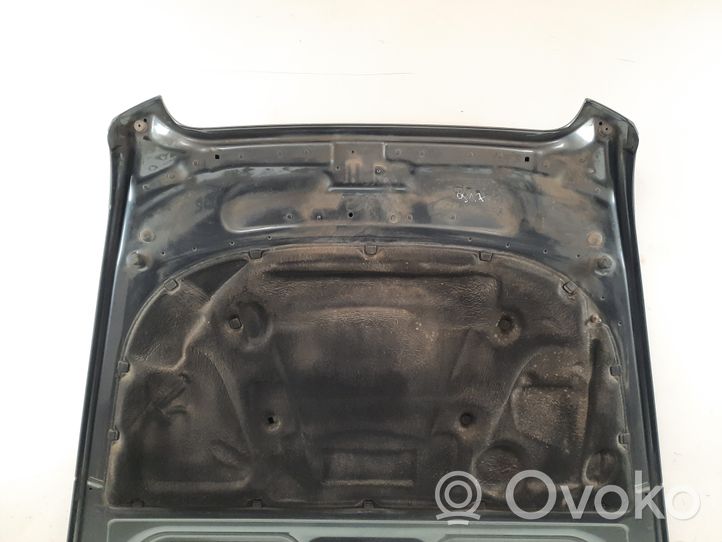 Audi A6 S6 C6 4F Dangtis variklio (kapotas) 4F0010189C