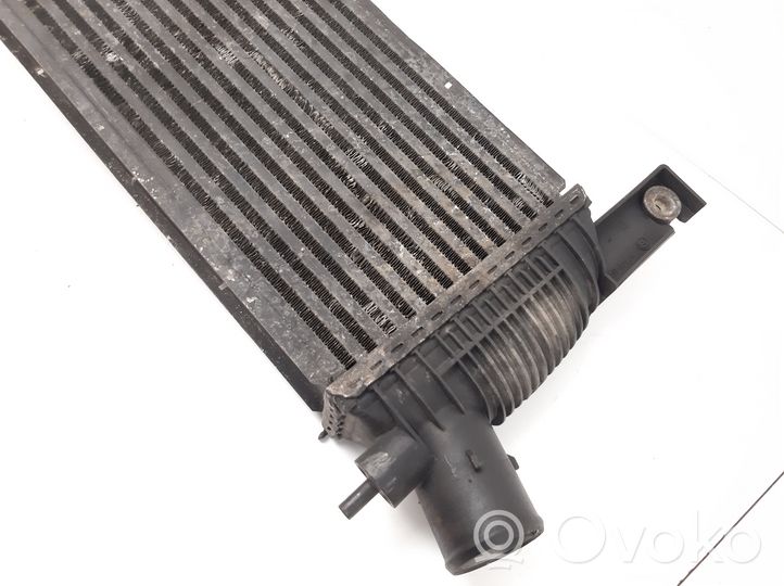 Nissan Navara D40 Starpdzesētāja radiators 14461EB360