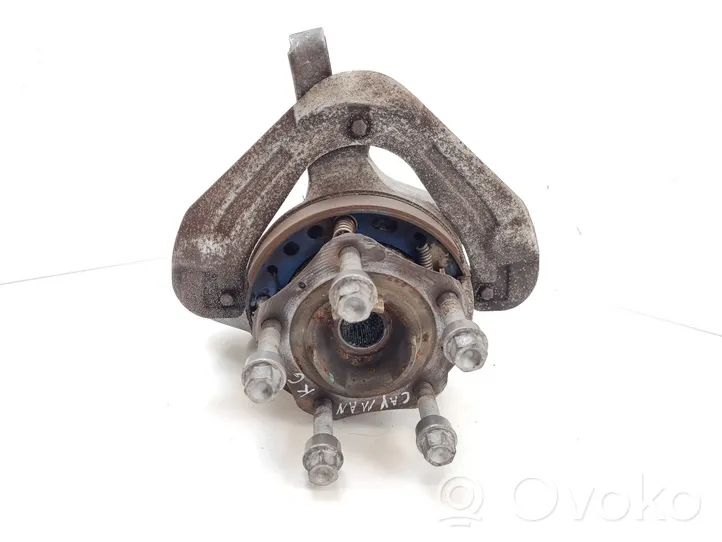 Porsche Cayman 987 Rear wheel hub 98733165706