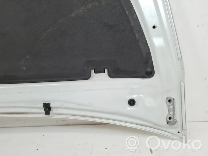 Toyota Prius (XW50) Engine bonnet/hood 