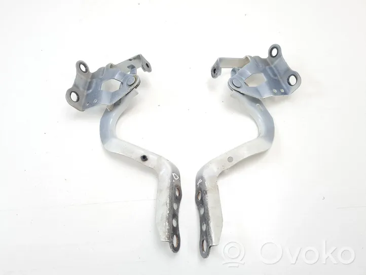 Toyota Prius (XW50) Engine bonnet/hood hinges 