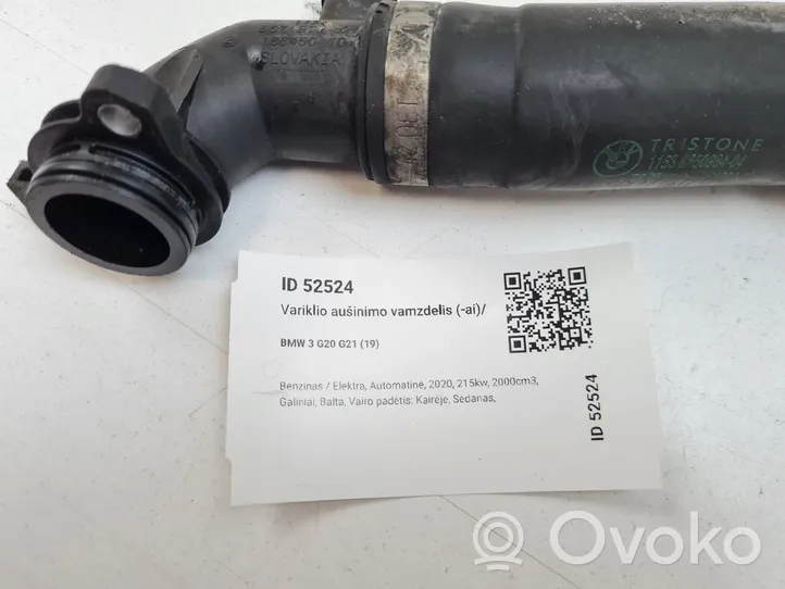 BMW 3 G20 G21 Variklio aušinimo vamzdelis (-ai)/ žarna (-os) 8650984