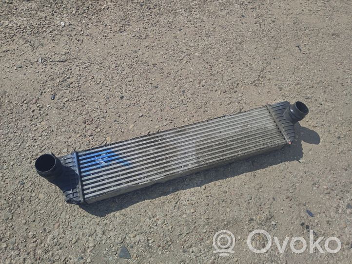 Renault Master III Chłodnica powietrza doładowującego / Intercooler 