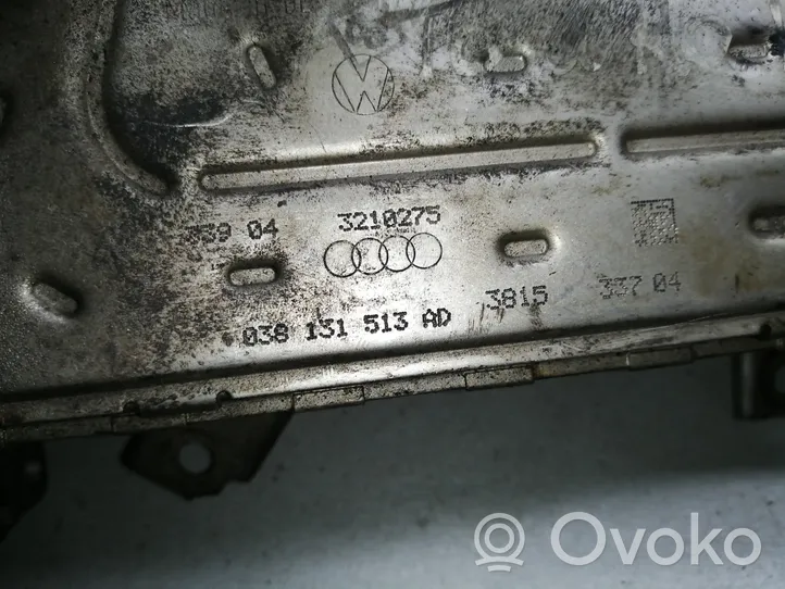 Volkswagen PASSAT B6 Chłodnica spalin EGR 038131513AD