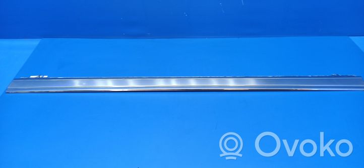 Cadillac Eldorado Front door trim (molding) 