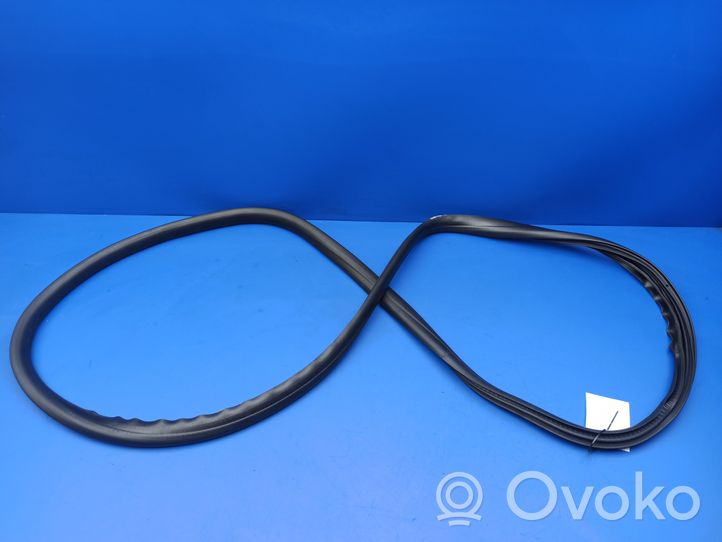 Volvo S40 Front door rubber seal S40