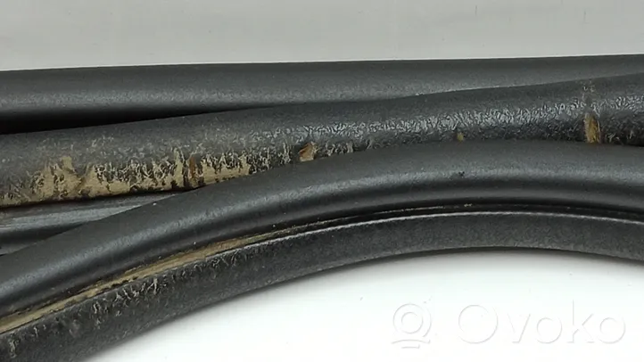 Nissan Primastar Front door rubber seal 