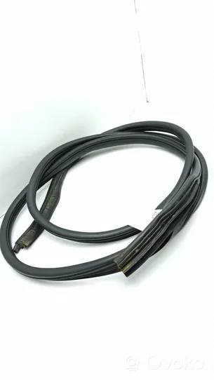 Nissan Primastar Front door rubber seal 