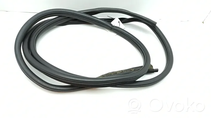 Nissan Primastar Front door rubber seal 