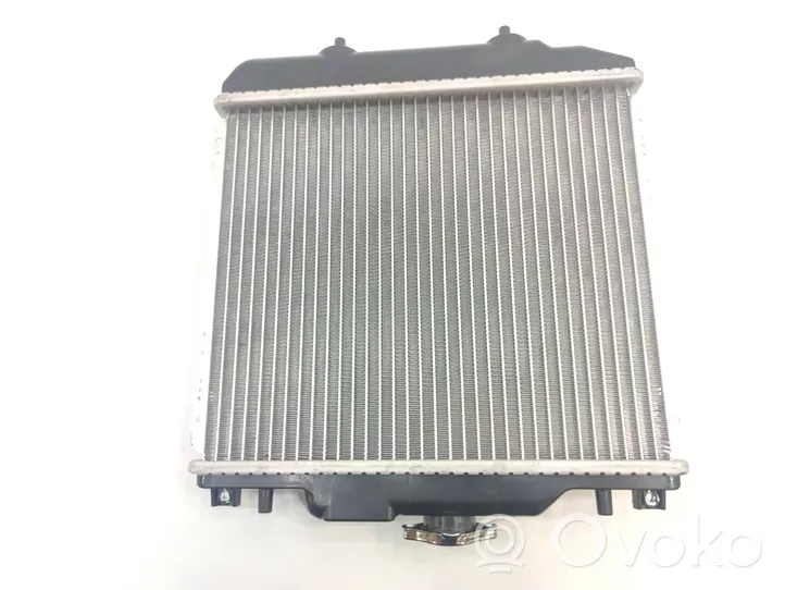 Aixam GTI Радиатор охлаждающей жидкости 1102
