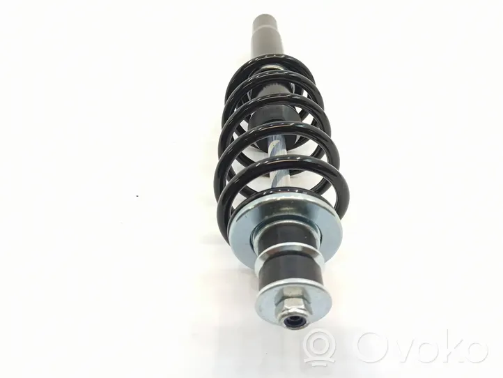 Ligier JS RC Front shock absorber with coil spring 1010769