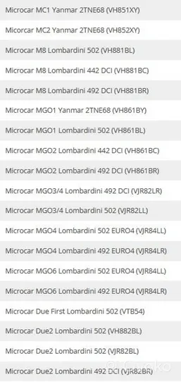 Microcar M.GO Oro filtras 01.17.01